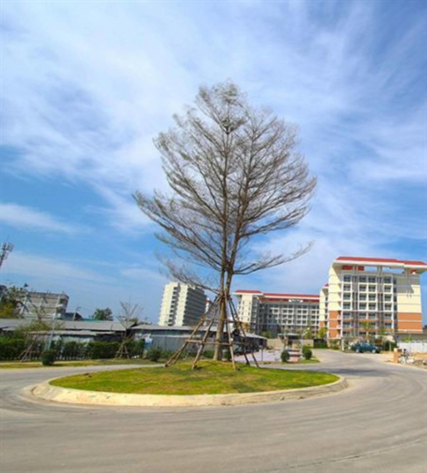 Grow Residences Bangkok Esterno foto